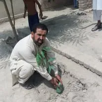 Green Seekers Activity